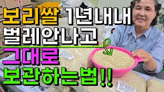 벌레안나는 보리쌀 보관법 초간단 이렇게 해보세요 1년내내 벌레가 안생깁니다 보리쌀 찰보리쌀 늘보리쌀 겉보리쌀…
