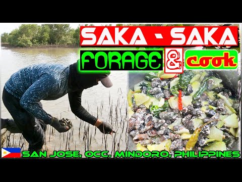 EP118 - Mangrove Snail Forage 'n Cook | W/ English Subs | Occ. Mindoro