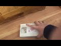 Barney S Alphabet Zoo Vhs Review
