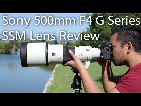 Video thumbnail for Video Review 2