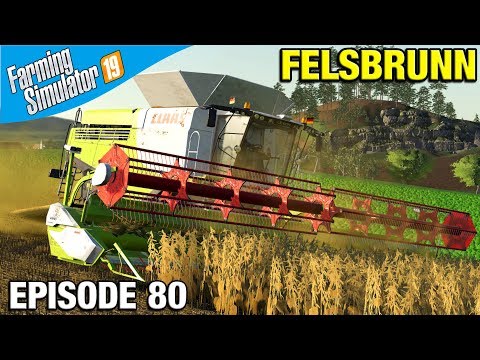HARVEST TIME Farming Simulator 19 Timelapse - Felsbrunn FS19 Episode 80