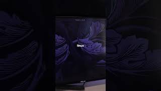 Arch + Hyprland Setup Deadly Combo 🥷💜 #archlinux #hyprland #linux #hackers #coding #programming