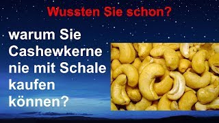 Cashewkerne Sollen Roh Giftig Sein
