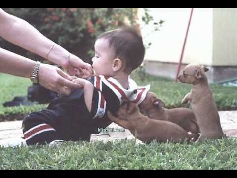Hijo Mio - Galantes De America
