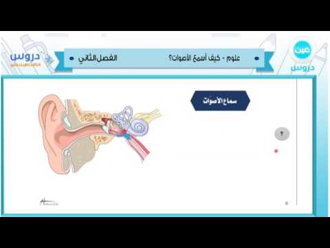 الثالث الابتدائي| الفصل الدراسي الثاني 1438/ علوم | كيف اسمع الاصوات؟