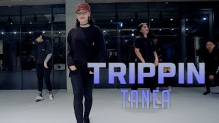 TRIPPIN - TANEA / MINKY JUNG CHOREOGRAPHY