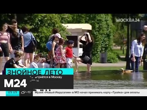 Синоптики пообещали москвичам 30-градусную жару на следующей неделе - Москва 24