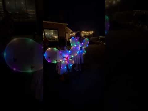 庭にとって最も重要な蝶の植物 トピックス