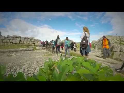 In cammino verso Oria, nella macchia.