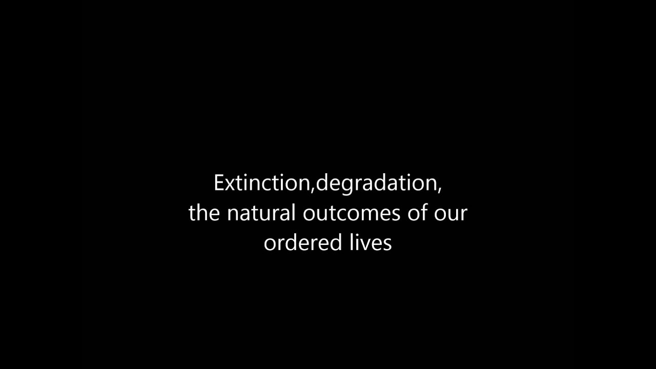 Bad Religion - Entropy
