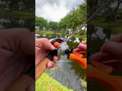 Flipping switch on the Max Stx #urbanfloridafishing #baitcaster #fishingvideos #bassfishing