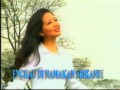 Lavenia - Melati Tapal Batas