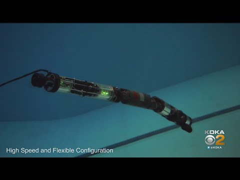 Carnegie Mellon University's Biorobotics Lab Creates Robot That Can Swim