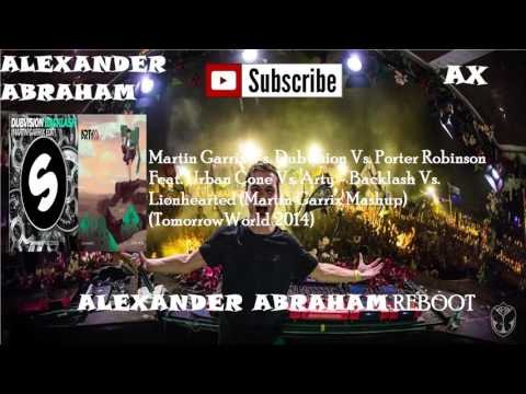 Backlash Vs. Lionhearted (Martin Garrix Mashup) (TomorrowWorld 2014)