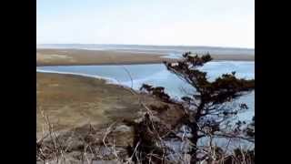 preview picture of video 'Nauset Bay, Eastham, Cape Cod'
