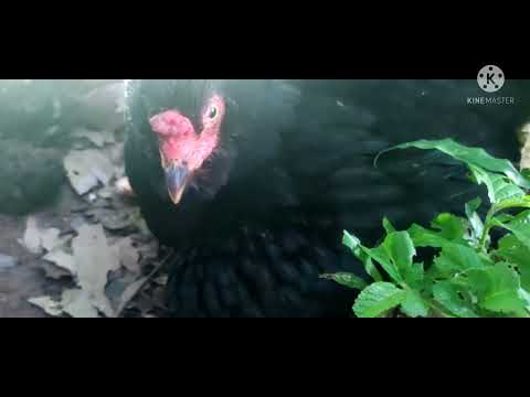 ESSA SURPREENDEU COM O LUGAR 😂😂