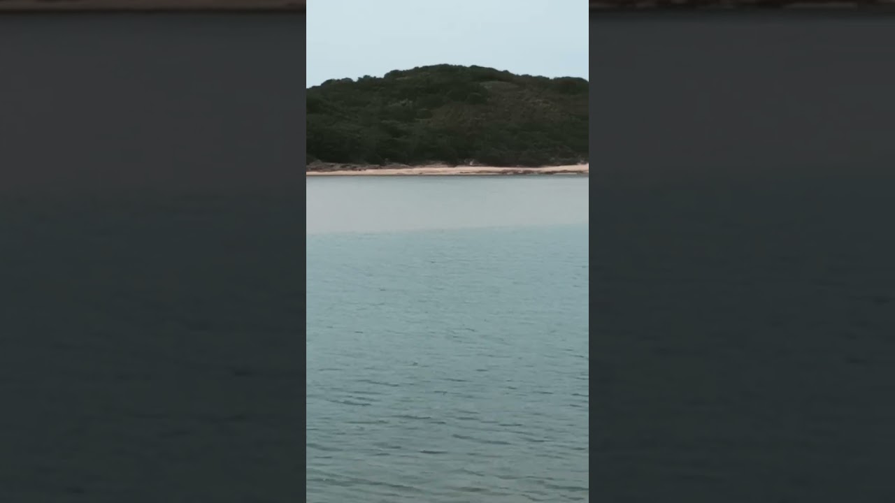 Welcome back everyone. And please subscribe. If you have not yet. Subscribe.