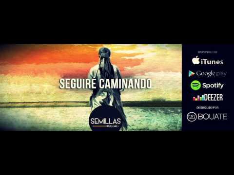 Semillas Reggae - Dulce Sensación Ft Bamboo México