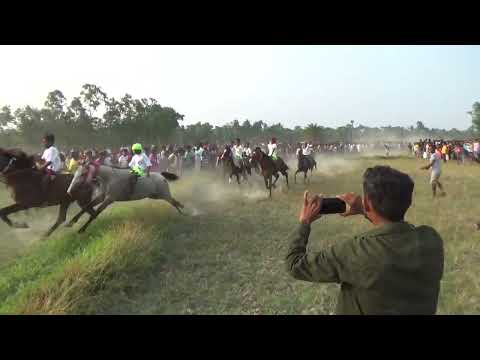 Mathurapur Baba Barkhan Gaji Horse Race #horseracing #viral #2023 #subscribe @timirbaranmondal