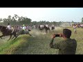 Mathurapur Baba Barkhan Gaji Horse Race Horseracing Viral 2023 Subscribe Timirbaranmondal