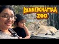 A Fun Trip To The Zoo With My Boo ️