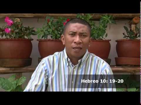 Miomàna 95   Ny Fanahin'ny fahafàhana