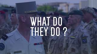 An EU Anomaly - European Defence in one minute