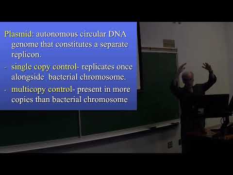 Lecture 2B The Replicon-1
