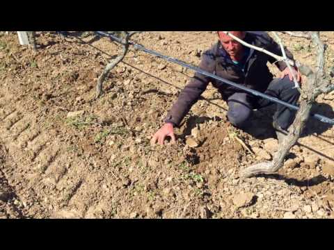 Duyargalı Bıçak Tipi Bağ Çapa Makinesi - Manisa Tanıtım Çalışmalarımızdan Görüntüler