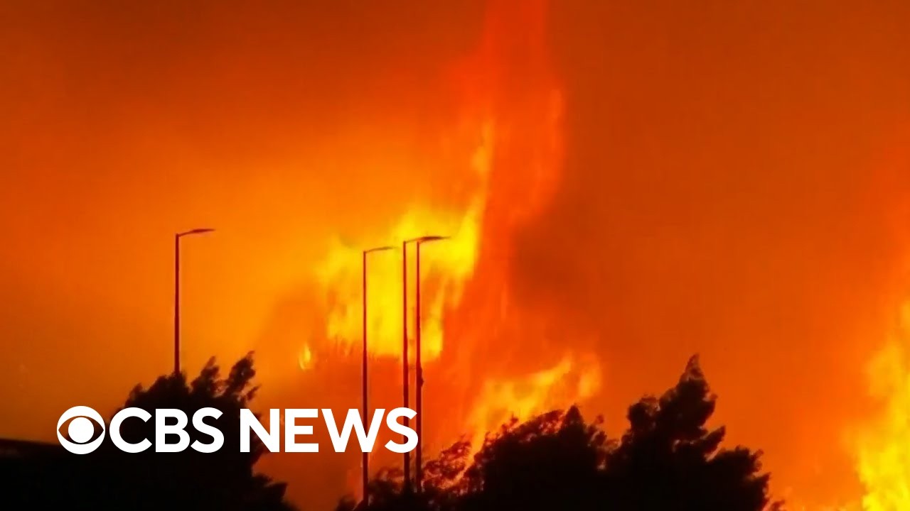 Video: Europe battles fifth 2026 heatwave with wildfires in Croatia, Belgium and record Danube lows