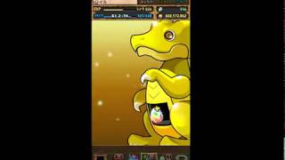 パズドラ　スーパーゴットフェス　30連