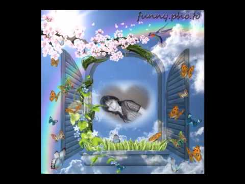 Ricsike 2 edes kisfijam