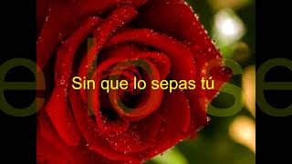 Sin que lo sepas tu    Los Temerarios