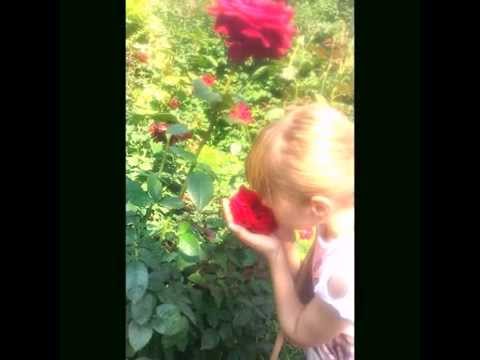 Movetown feat. Ray Horton.