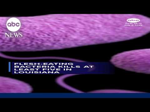 Flesh-eating bacteria kills at least 5 in Louisiana