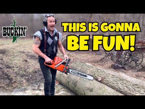 Buckin’ in the Hardwoods of the USA