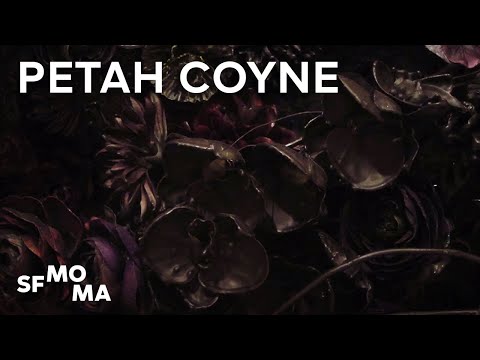 download lagu mp3 mp4 Petah Coyne, download lagu Petah Coyne gratis, unduh video klip Petah Coyne