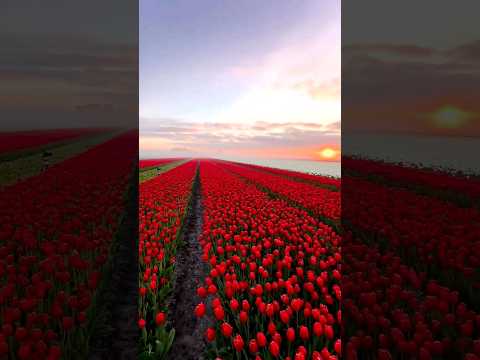 The Most Beautiful Places In THAILAND ❤️