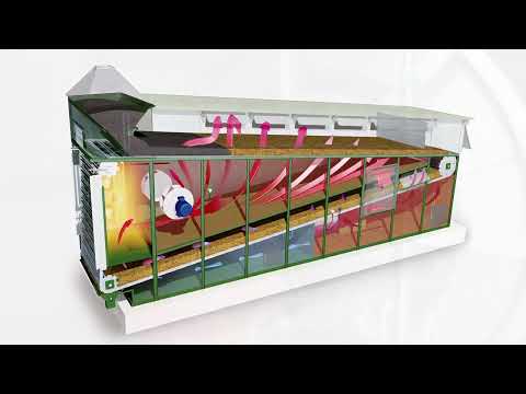 KORNTEC Getreide Bandtrocknungsanlage, mit Fördertechnik 150 t/h, Elevatoren, Förderbänder für Halle