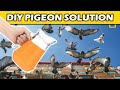 3 Ways To Scare Off Pigeons From Your Roof That Are Guaranteed To Work