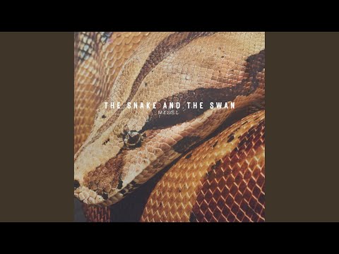 The Snake and The Swan