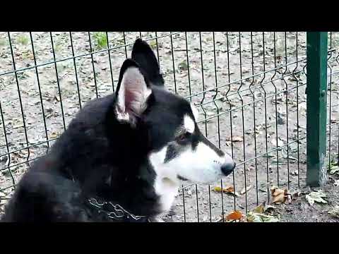 LIORA/TIMELESS WALK/LVIV(UKRAINE)/2O25/