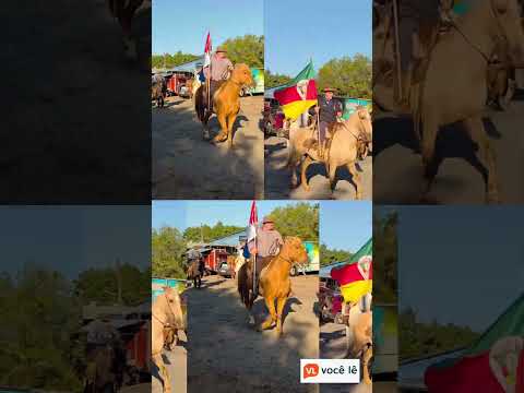 Tradição gaúcha é celebrada na XIV Cavalgada Intermunicipal de Lagoa dos Três Cantos
