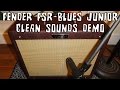 Fender Blues Junior Amp FSR Wine Red Clean ...