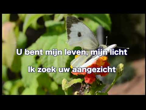 OPwekking  549 Ik kniel neer