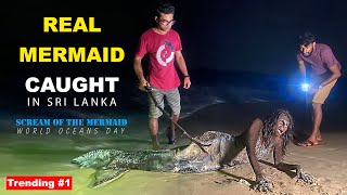 Real Mermaid caught in Sri Lanka | TRIP PISSO