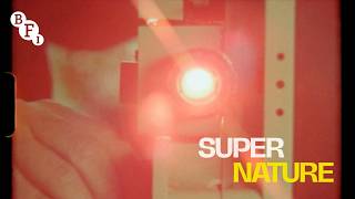 Ed Sayers on film formats from 70mm to Super 8