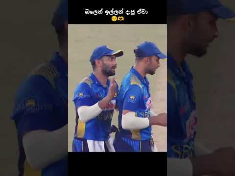 චාමි😌🫶 #trending #viral #srilankacricket #youtubeshorts #yosho #trend #cricketlover