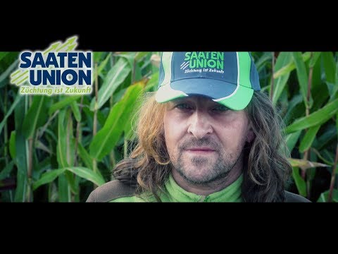 Saaten-Union: Wir wünschen allen eine erfolgreiche Maisernte