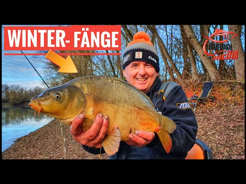 Friedfischangeln im Winter: So fängt man Brassen und Karpfen | Gregor trifft den Profi